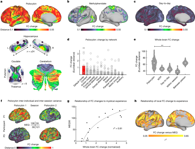 Psilocybin desynchronizes the human brain | Nature